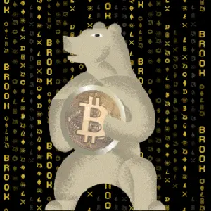 Bear — Enigma