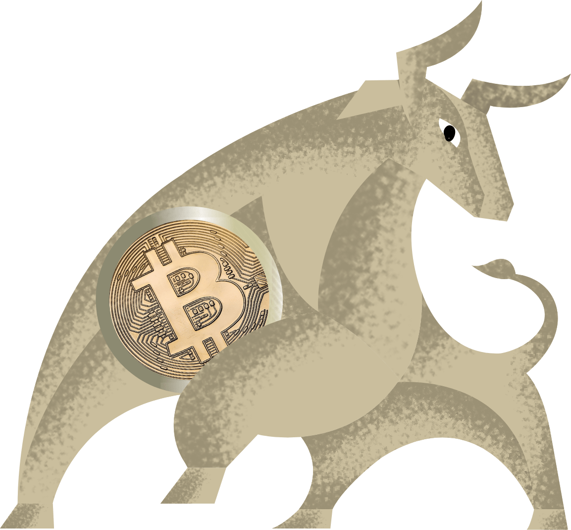 the bull